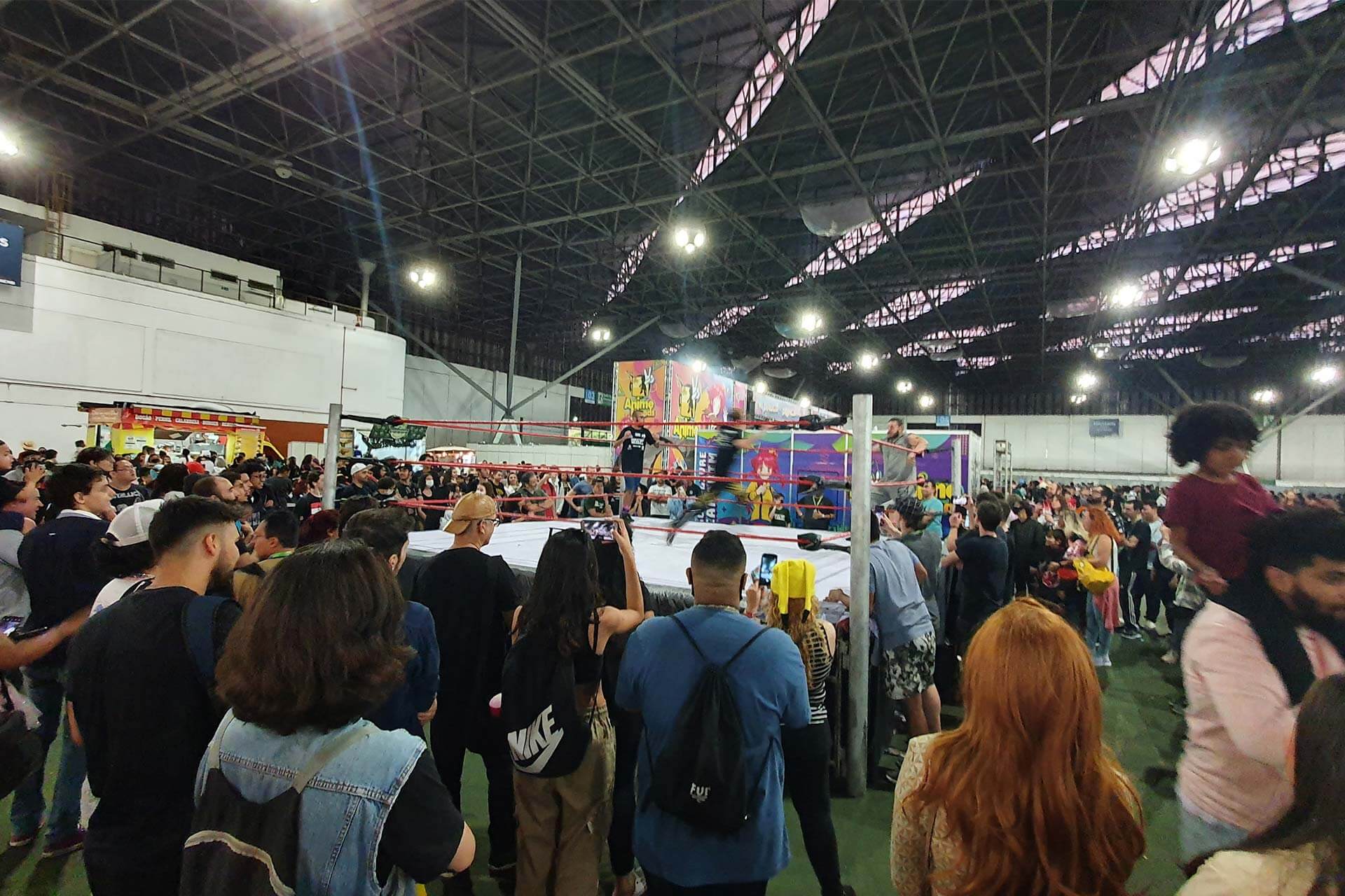 ANIME FRIENDS - Distrito Anhembi