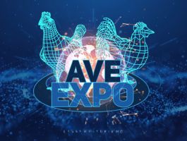 Ave Expo 2025